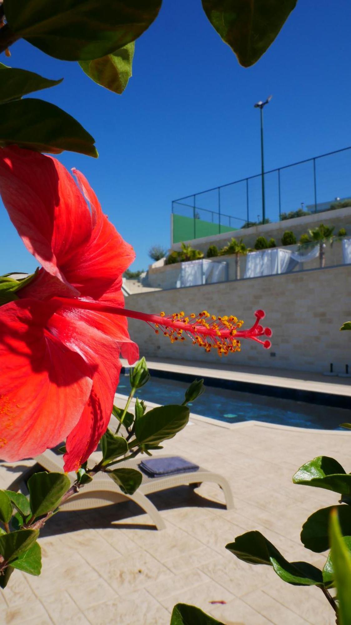 Amour Relax Hotel Almyrida  Bagian luar foto